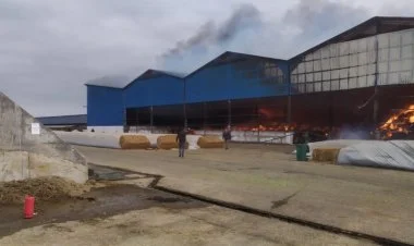 “Yalama Aqropark"dakı yanğınla bağlı son vəziyyət