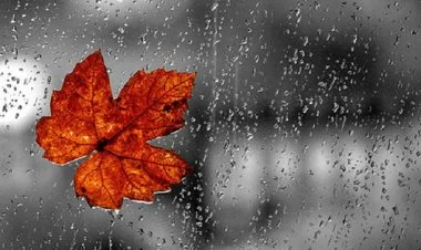 Bəzi rayonlarda havanın yağıntılı olacağı gözlənilir