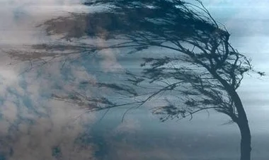 Bakıda sabah güclü külək əsəcək