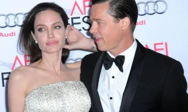 Bred Pitt və Ancelina Colinin malikanəsi hərraca çıxarılır