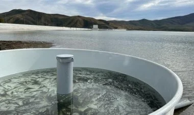 Xaçınçay su anbarına balıq körpələri buraxılıb