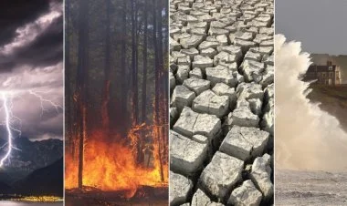 Təbiət və insan üçün ciddi fəsadları olan yeni rekordlar