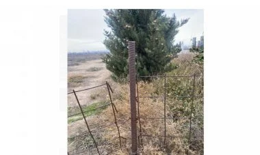 Goranboyda qəbiristanlıqdan oğurluq edən şəxs saxlanılıb