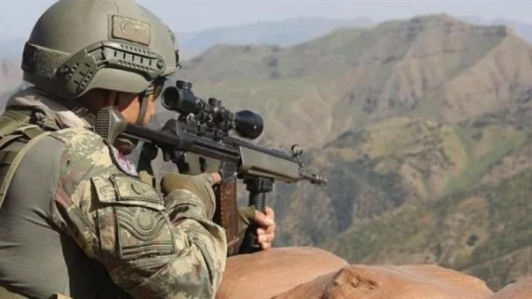 Türkiyə ordusu İraqda beş terrorçunu zərəsizləşdirdi