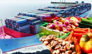 Azərbaycanın qeyri-neft və qaz ixracı rekord həddə çatıb