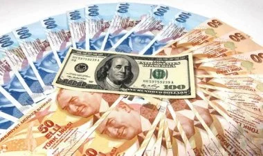 Türkiyədə 1 dolların qiyməti  artıq 30 TL-ni ötdü