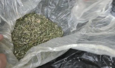 Paytaxt sakini 12 kiloqram narkotik vasitə ilə saxlanıldı