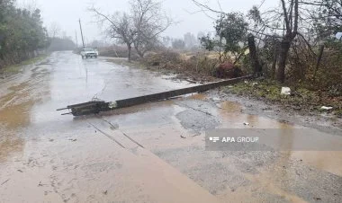 Lənkəranda yol qəzasında yeniyetmə hadisə yeridə ölüb