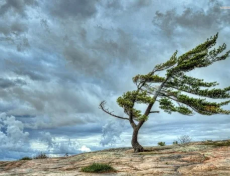 Bəzi ərazilərdə küləkli hava davam edir