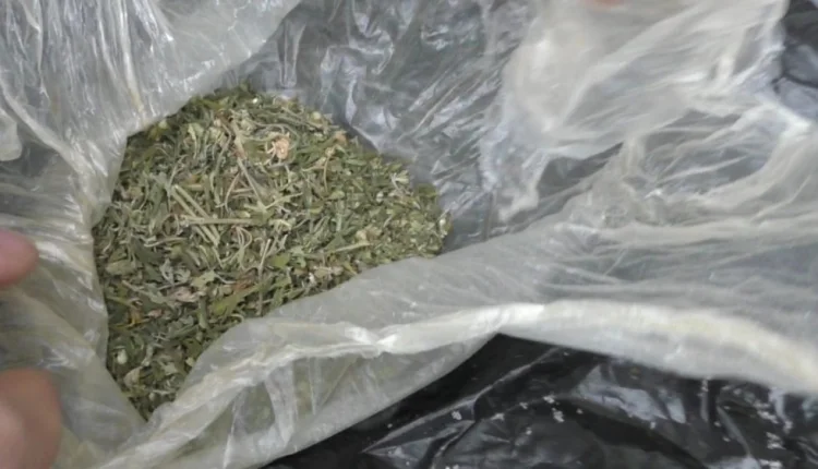 Paytaxt sakini 12 kiloqram narkotik vasitə ilə saxlanıldı