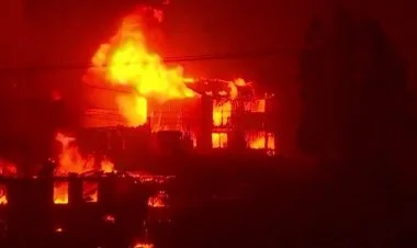 Çilidə meşə yanğınları zamanı 46 nəfər ölüb