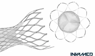 Türkiyə ürək qapağı implantasiya edən ikinci ölkədir