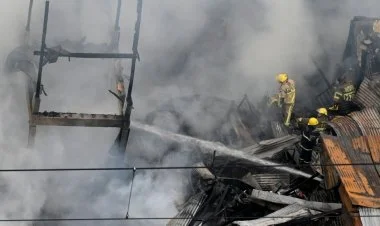 Dehlidə boya fabrikində yanğın olub, 11 nəfər ölüb