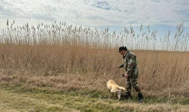 İmişlidə itkin düşmüş 11 yaşlı uşağın axtarışları davam edir