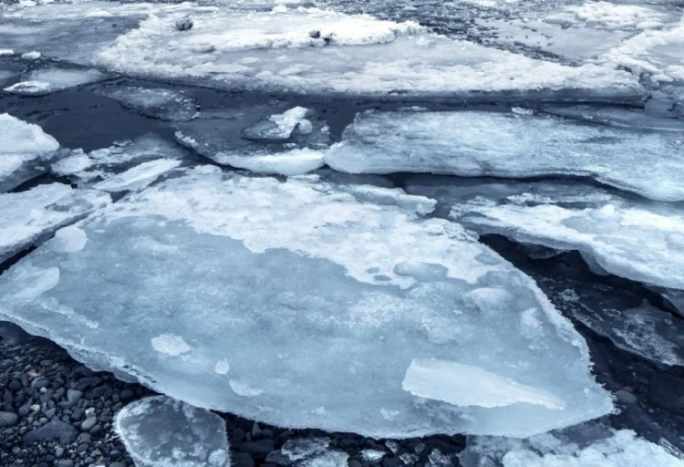 Saxalində 75 balıqçı qopmuş buz parçasından xilas edilib