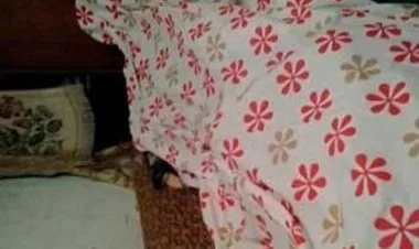 Salyanda keçmiş baş həkim və arvadı qətlə yetirilib