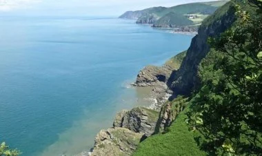 Alimlər dünyanın ən qədim meşəsini aşkarlayıblar