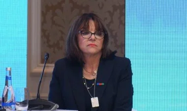 "Fransada Azərbaycana qarşı toksik lobbiçilik var"