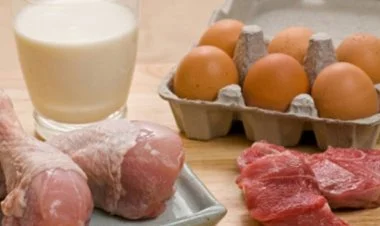 Ət istehsalı azalıb, yumurta və süd isə artıb