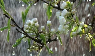 Bayram günü leysan yağacaq