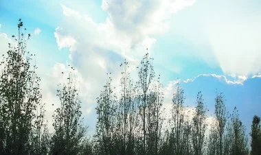 Sabah əksər rayonlarda hava əsasən yağmursuz keçəcək