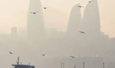 Bakıda kəskin tozlu hava müşahidə olunur