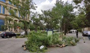 Güclü külək səbəbindən 5 nəfər yaralanıb