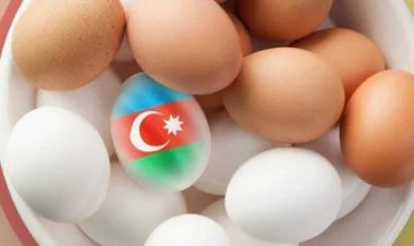 Azərbaycan Rusiyaya 33 milyon ədəd yumurta göndərib