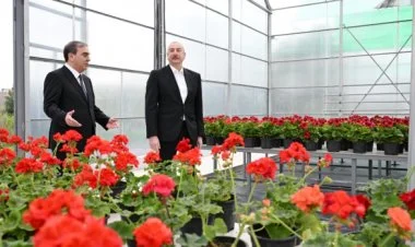 İlham Əliyev Gəncədə bir sıra obyektlərlə tanış olub FOTO