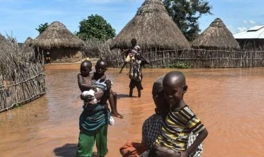 Keniyada daşqında azı 13 nəfər ölüb