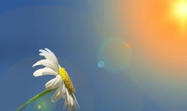 Sabah bölgələrdə 30 dərəcə isti olacaq