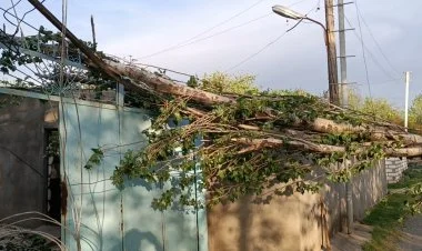 Güclü külək Ağstafada bir sıra fəsadlar törətdi FOTO