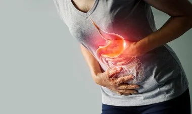 Xora həzm sistemi xəstəlikləri arasında geniş yayılıb