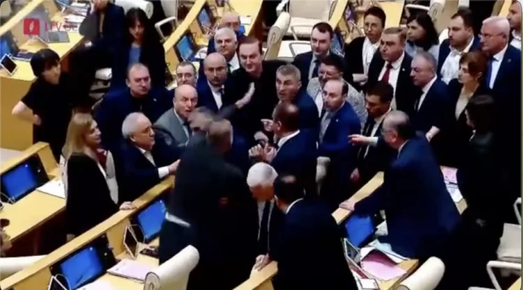 Gürcüstan parlamentində dava düşdü VIDEO