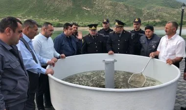 Suqovuşan su anbarına balıq körpələri buraxılıb