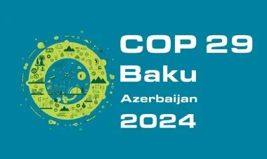 COP29-la əlaqədar qeydiyyatdan keçən qonaq sayı