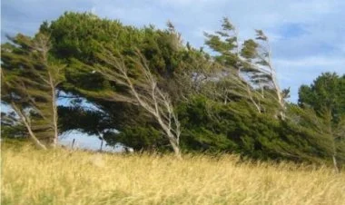 Ölkədə qeyri-sabit, küləkli və yağıntılı hava davam edir