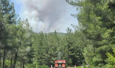 Türkiyədə meşə yanğınları tüğyan edir FOTO