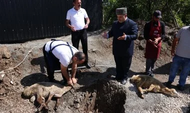 Şuşada Qurban bayramı qeyd edildi FOTO