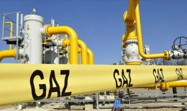 Avropada qazın qiyməti 405 dolları ötüb