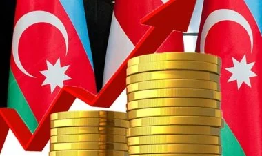 Azərbaycan Türkiyə iqtisadiyyatına 2 dəfə çox vəsait yatırıb