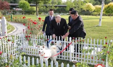 Kim Çen In Putinə ov iti hədiyyə etdi