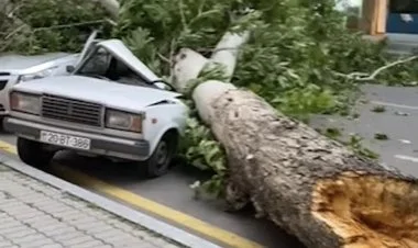 Fırtına, dolu və leysan qərb regionlarına ziyan vurub VİDEO
