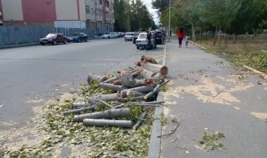 Mingəçevirdə güclü külək nəticəsində insan tələfatı var