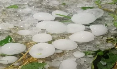 Qusara dolu yağıb