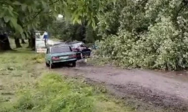 Leysan yağışları Qəbələdə fəsadlar törədib