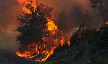 Türkiyədə meşə yanğınları ilə mübarizə gedir VİDEO