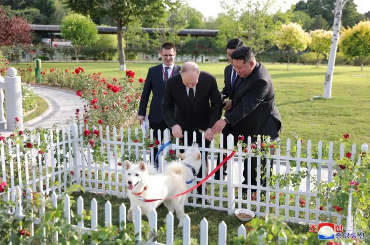 Kim Çen In Putinə ov iti hədiyyə etdi