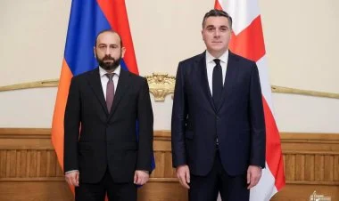 Ermənistanın xarici işlər naziri Gürcüstana gedib