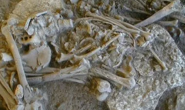 Neolit dövründə əhalinin çoxu vəba xəstəliyindən ölüb